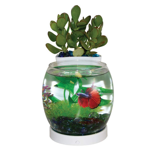 Elive Betta Bowl and Planter "White"