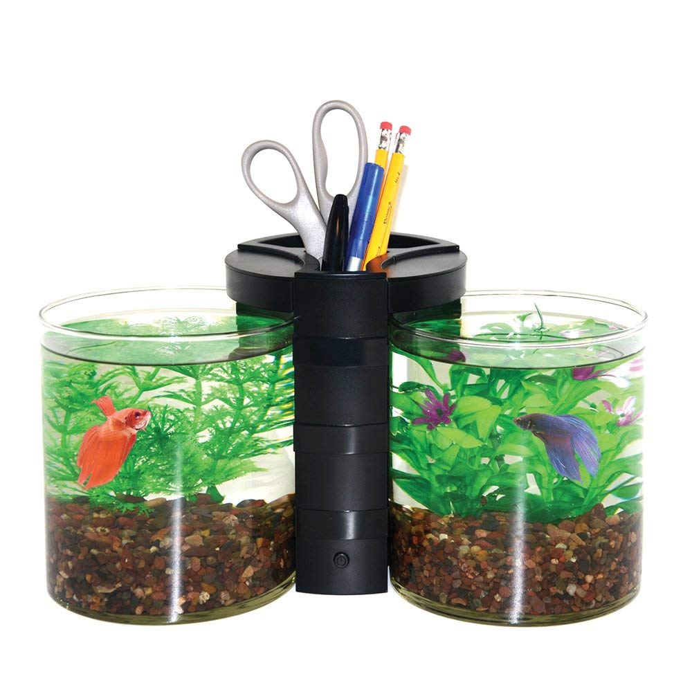 Elive Betta Cylinder and Planter "Black"