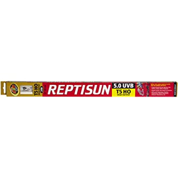 Zoo Med™ ReptiSun® 5.0 UVB T5 HO – High Output Linear Lamp 22"