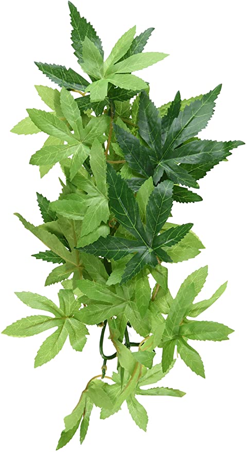 ABULITON SILK HANGING RAINFOREST PLANTS SMALL EXO TERRA