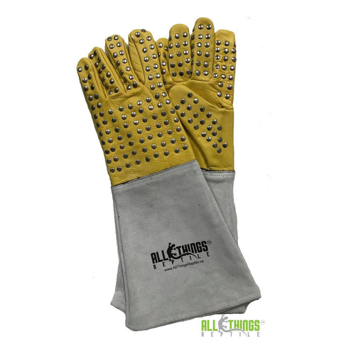 ATR Reptile Handling Gloves With Metal Studs