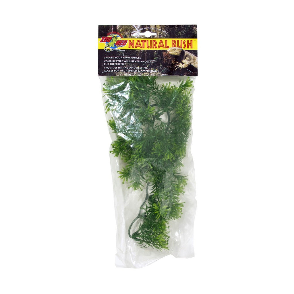 Borneo Star Small - Zoo Med