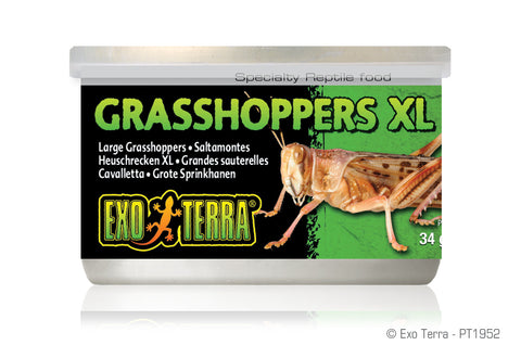 Exo Terra Grasshoppers XL Canned Food, 34g