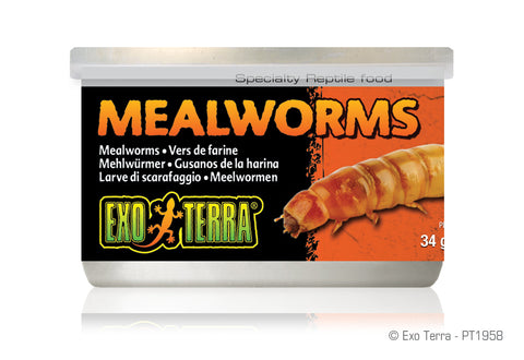 Exo Terra Mealworms Canned Food, 34g