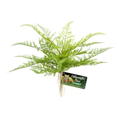 LACE FERN NATURALISTIC FLORA ZOO MED