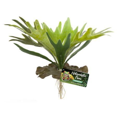 STAGHORN FERN NATURALISTIC FLORA   ZOO MED