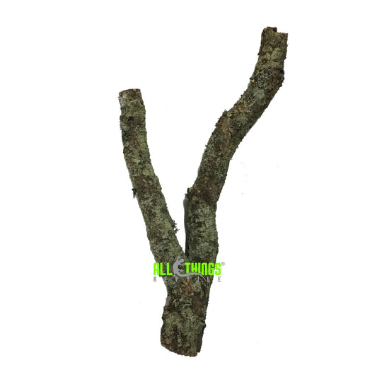 ATR Cork Bark Branch Thick 32" (3"-5"DIA) approx.