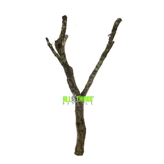 ATR Cork Bark Branch Thin 12" (1"-3"DIA) approx.