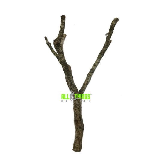 ATR Cork Bark Branch Thin 24" (1"-3"DIA) approx.