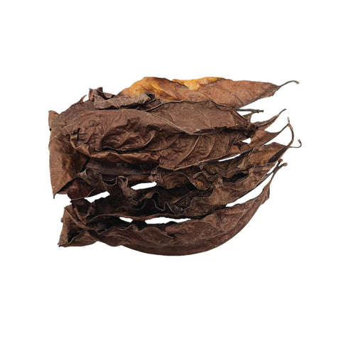 Dried Coffee Mixed Size Leaves