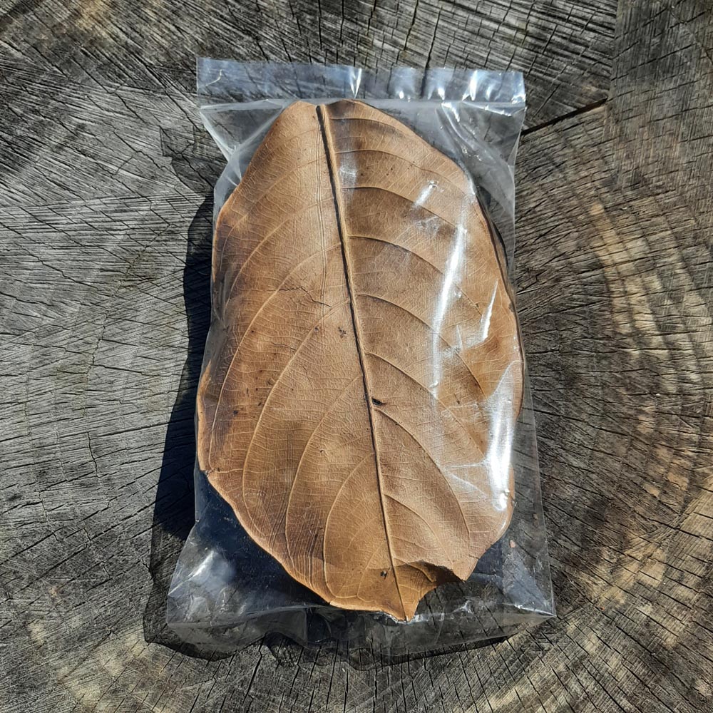 Jack Fruit Dried Big Leaves