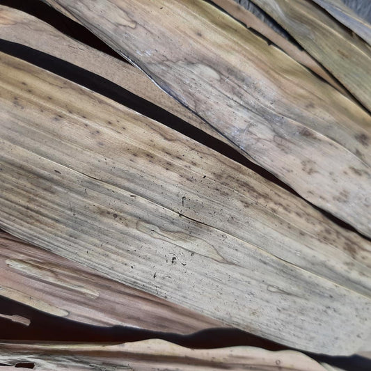 Bamboo Dried Mix Size Leaves