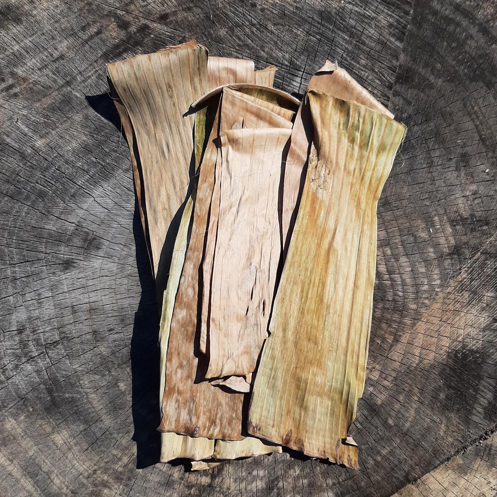 Banana Mix Size Dried Leaves