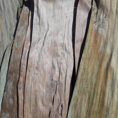 Banana Mix Size Dried Leaves