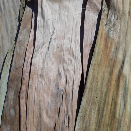 Banana Mix Size Dried Leaves