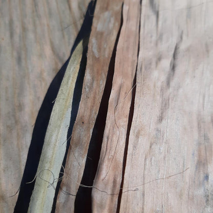 Banana Mix Size Dried Leaves