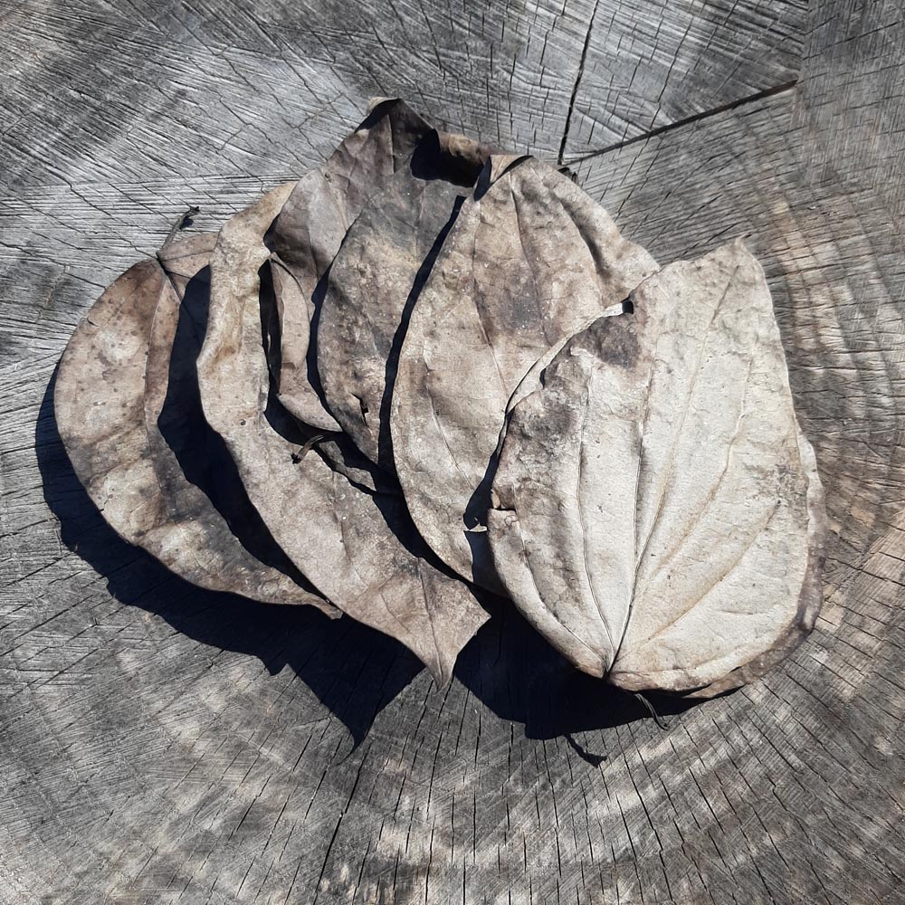 Black Pepper Mix Size Dried Leaves