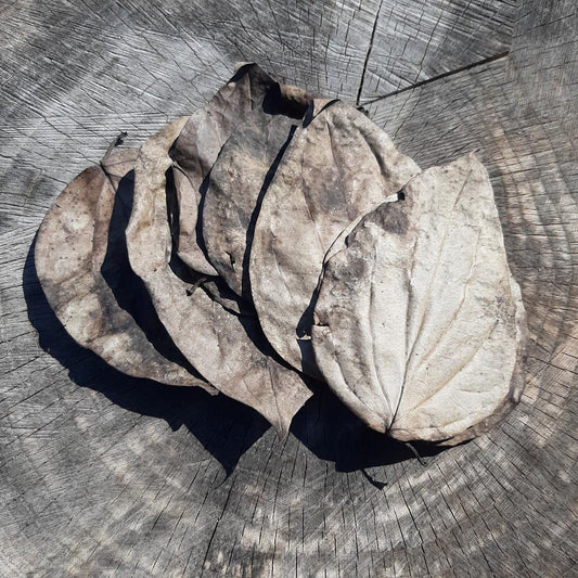 Black Pepper Mix Size Dried Leaves