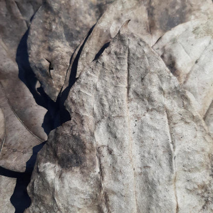 Black Pepper Mix Size Dried Leaves