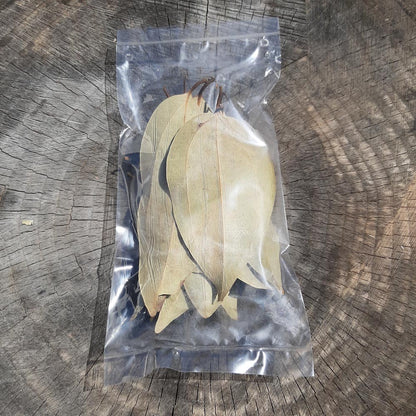 Cinnamon Mix Size Dried Leaves