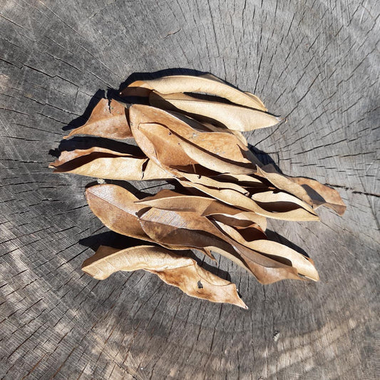 Durian Mix Size Dried Leaves