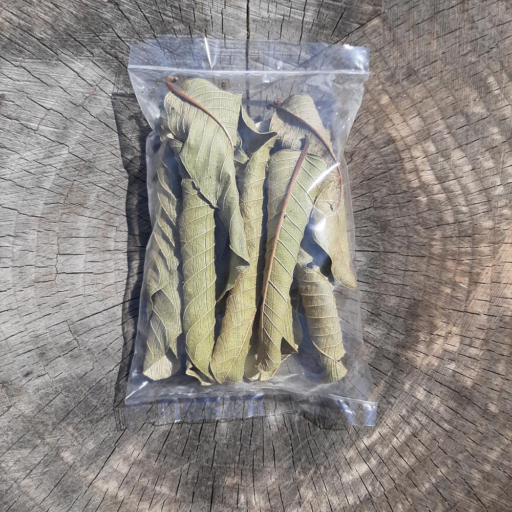 Guava Mix Size Dried Leaves