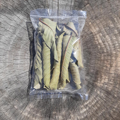 Guava Mix Size Dried Leaves