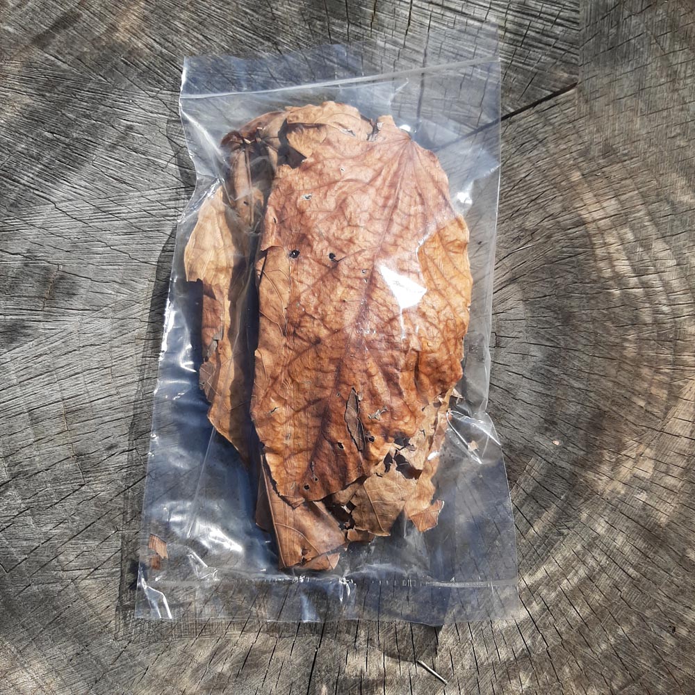 Halmilla Mix Size Dried Leaves 10 Pieces