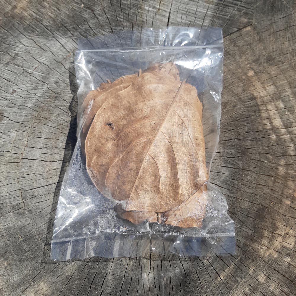 Jack Fruit Dried Small Leaves