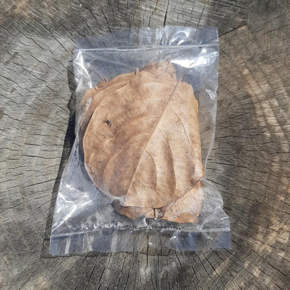 Jack Fruit Dried Small Leaves