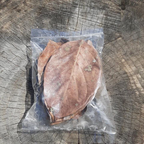 Jack Fruit Dried Small Leaves