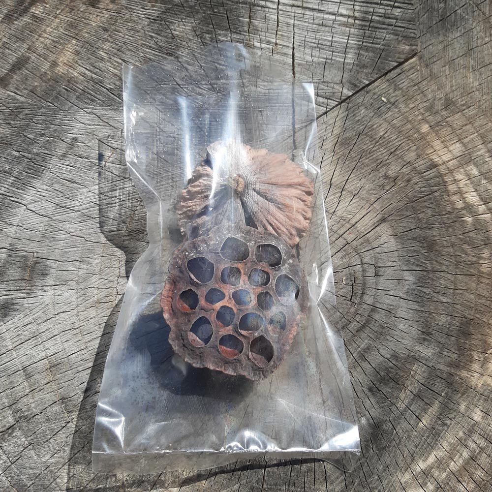 Dried Lotus Pods