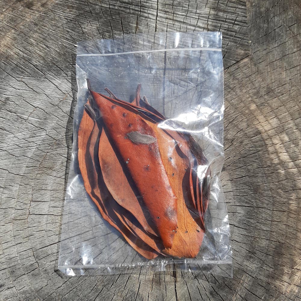 Mangrove Mix Size Dried Leaves