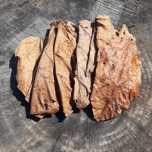 Mahogani Mix Size Dried Leaves
