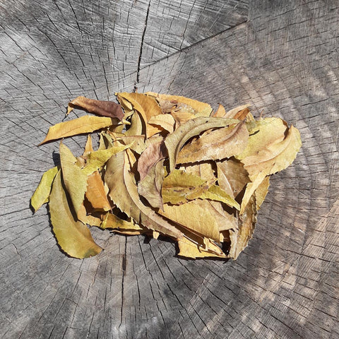 Neem ( Kohomba ) Mix Size Dried Leave