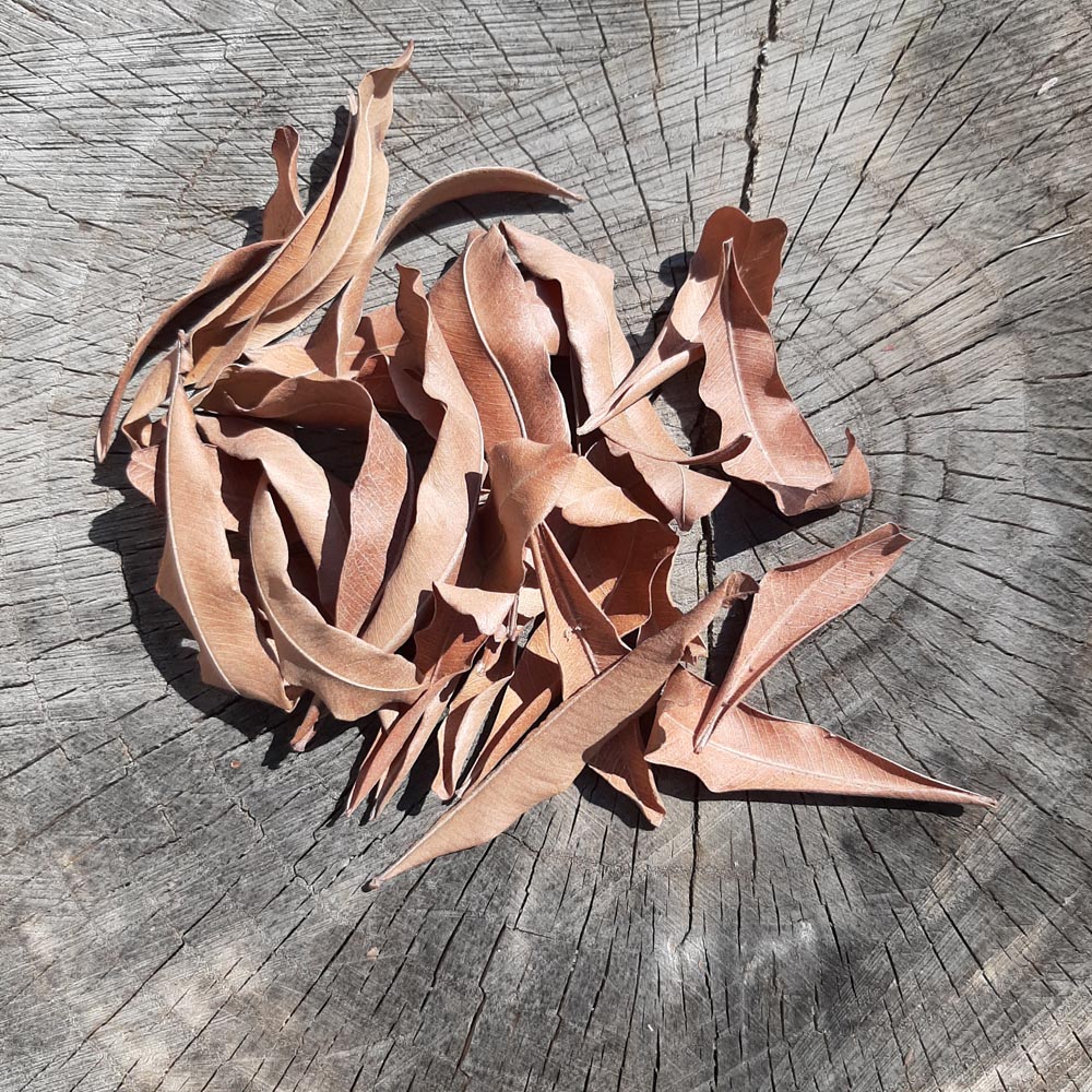 Pihimbiya Mix Size Dried Leaves