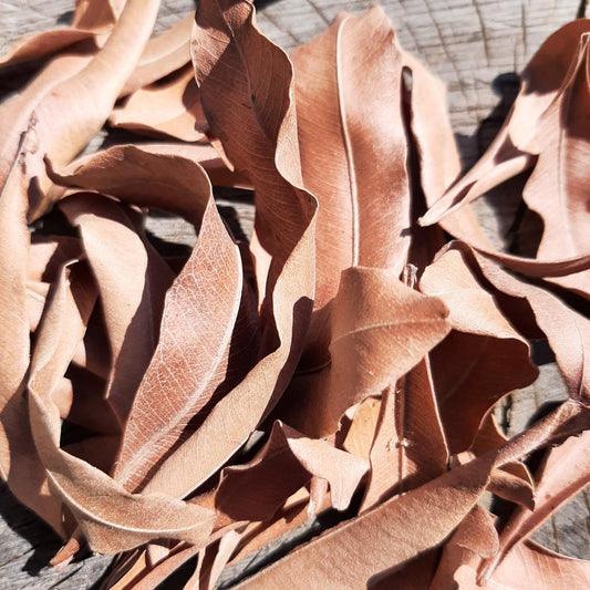 Pihimbiya Mix Size Dried Leaves