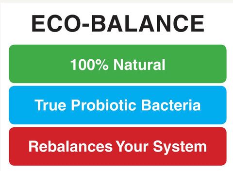 16oz Eco-Balance