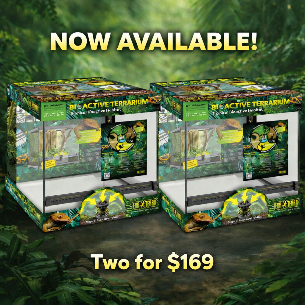 Exo Terra Terrarium - Advanced Habitat - 2 pack