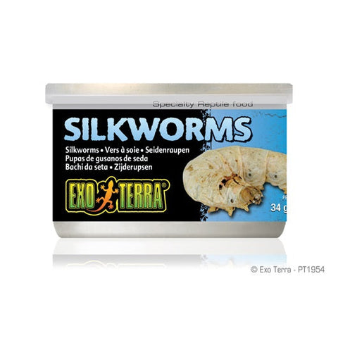 Exo Terra Silkworms XL (Pupea) - 34 g