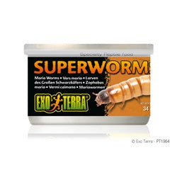 Exo Terra Super Worms Canned Food 34g