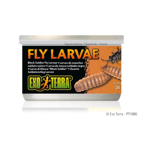 Exo Terra Black Soldier Fly Larvae Canned Food 34g