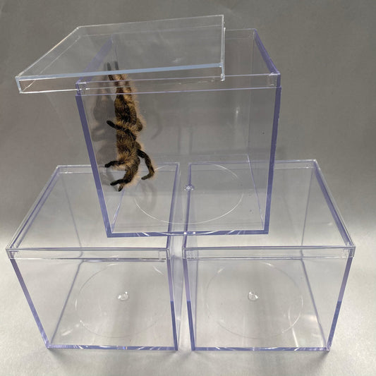 HABITAT 3 3/4" CUBE ACRYLIC