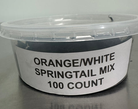 SPRINGTAIL ORANGE/WHITE MIX (100 COUNT)