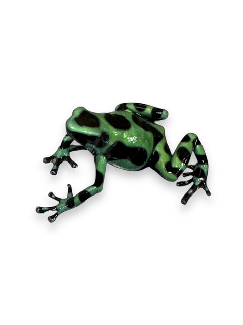 DART FROG, GREEN AND BLACK