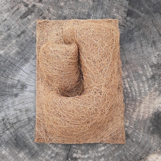 Jungle Coco Planting Background Pad 20cmx30cm