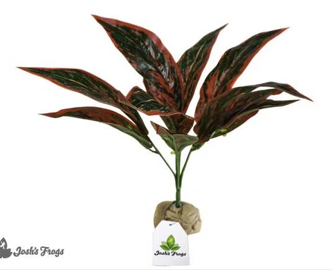 Josh's Frogs Artificial Aglaonema (Pink Variegated)