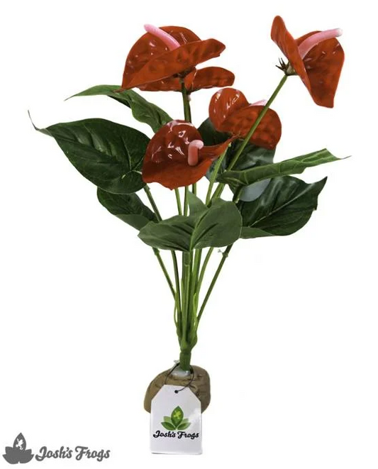 Josh's Frogs Artificial Anthurium Bush
