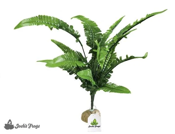 Josh's Frogs Artificial Fern