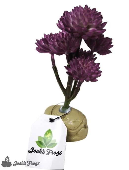 Josh's Frogs Artificial Red Clover